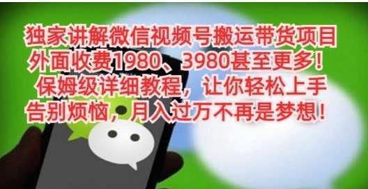 独家讲解微信视频号搬运带货项目，保姆级详细教程