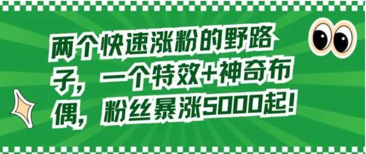 两个快速涨粉的野路子，一个特效+神奇布偶，粉丝暴涨5000起【揭秘】