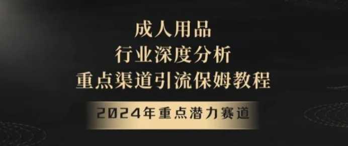 2024年重点潜力赛道，成人用品行业深度分析，重点渠道引流保姆教程【揭秘】