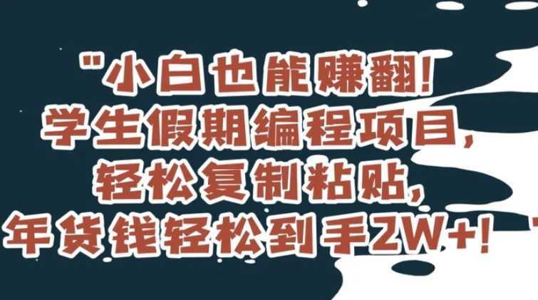 小白也能赚翻！学生假期编程项目，轻松复制粘贴，年货钱轻松到手2W+【揭秘】