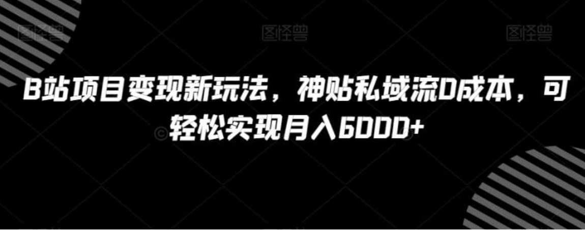 B站项目变现新玩法，神贴私域流0成本，可轻松实现月入6000+【揭秘】