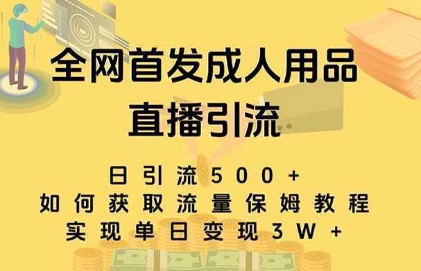 最新全网独创首发，成人用品直播引流获客暴力玩法，单日变现3w保姆级教程