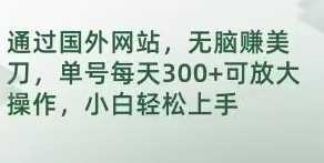 通过国外网站，无脑赚美刀，单号每天300+可放大操作，小白轻松上手【揭秘】