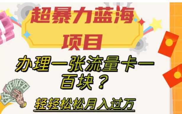 超暴力蓝海项目，办理一张流量卡一百块？轻轻松松月入过万，保姆级教程【揭秘】