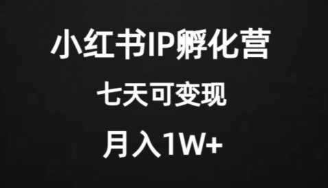 价值2000+的小红书IP孵化营项目，超级大蓝海，七天即可开始变现，稳定月入1W+