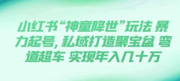 小红书“神童降世”玩法 暴力起号,私域打造聚宝盆 弯道超车 实现年入几十万