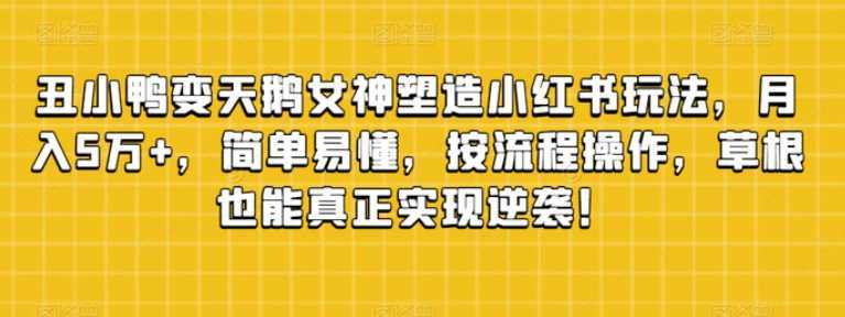 丑小鸭变天鹅女神塑造小红书玩法，月入5万+，简单易懂，按流程操作，草根也能真正实现逆袭！