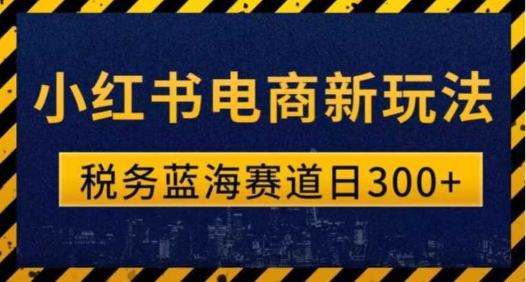 税务师小红书电商新玩法，知识撸金稳定300+