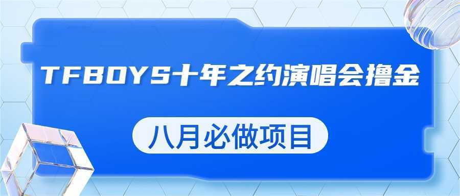 最新蓝海项目，靠最近非常火的TFBOYS十年之约演唱会流量掘金，八月必做的项