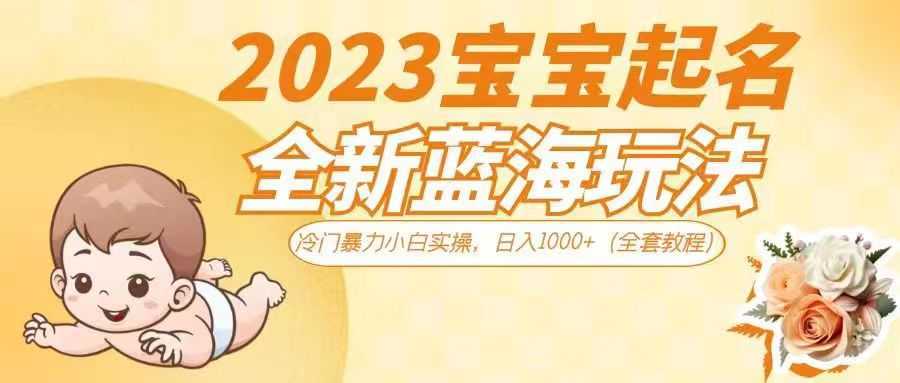 2023宝宝起名全新蓝海玩法，冷门暴力小白实操，日入1000+