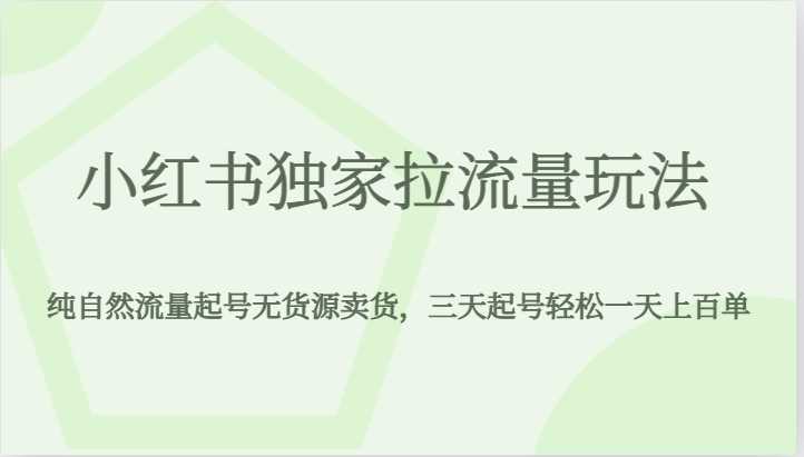 小红书独家拉流量玩法，纯自然流量起号无货源卖货，三天起号轻松一天上百单