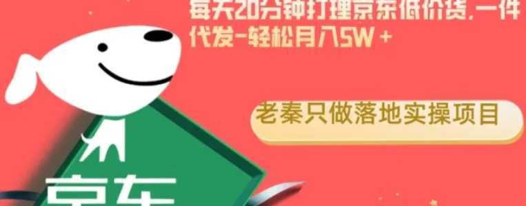 每天20分钟打理京东低价货，一件代发-轻松月入5W＋