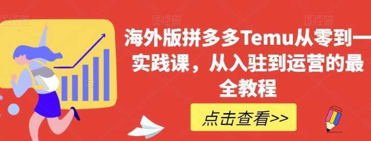 海外版拼多多Temu从零到一实践课，从入驻到运营的最全教程