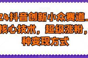 2024抖音创新小众赛道上热门核心技术，超级涨粉，多种变现方式【揭秘】