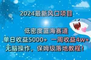 2024最新风口项目，低密度蓝海赛道，单日收益5000+，一周收益4w+！【揭秘】