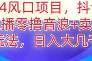 2024风口项目，抖音无人主播撸音浪+卖课程玩法，日入大几千【揭秘】