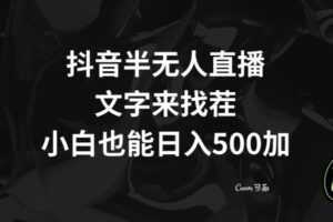 抖音半无人直播，文字来找茬小游戏，每天收益500+【揭秘】