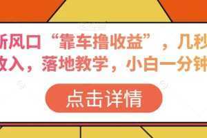 抖音新风口“靠车撸收益”，几秒视频过W收入，落地教学，小白一分钟上手【揭秘】