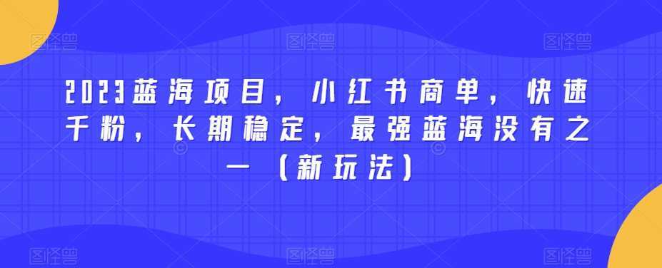 2023蓝海项目，小红书商单，快速千粉，长期稳定，最强蓝海没有之一