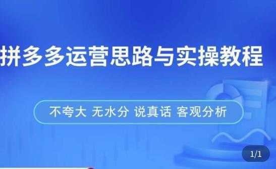 拼多多店铺运营思路与实操教程，快速学会拼多多开店和运营，少踩坑，多盈利