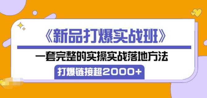 凌童《新品打爆实战班》,一套完整的实操实战落地方法，打爆链接超2000+（28节课)