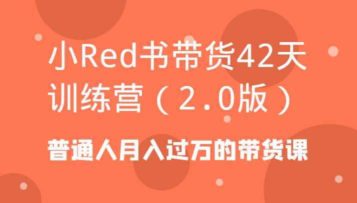 小Red书带货42天训练营普通人月入过万的带货课