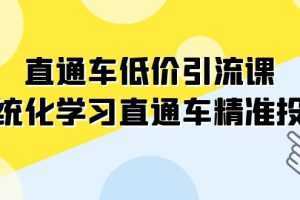 直通车-低价引流课，系统化学习直通车精准投放