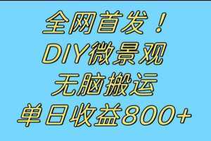 全网首发冷门赛道！DIY微景观，无脑搬运视频，日收益800+