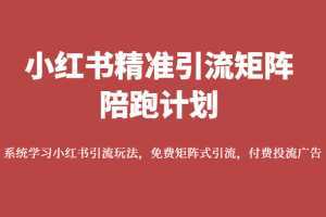 小红书精准引流矩阵陪跑计划，系统学习小红书引流玩法，免费矩阵式引流，付费投流广告