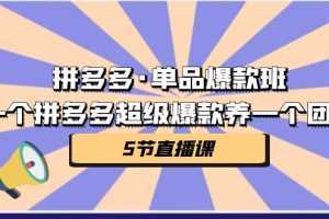 拼多多·单品爆款班，一个拼多多超级爆款养一个团队