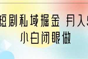 靠短剧私域掘金 月入5W 小白闭眼做