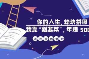 某高赞电子书《你的 人生，缺块 拼图——我靠“割韭菜”，年赚 500 万》