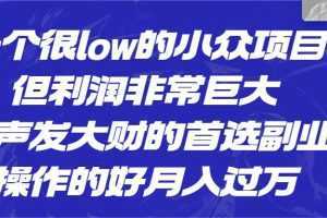 一个很low的小众项目，但利润非常巨大，闷声发大财的首选副业，操作的好月入过万