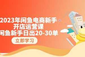 2023年闲鱼电商新手开店运营课：闲鱼新手日出20-30单