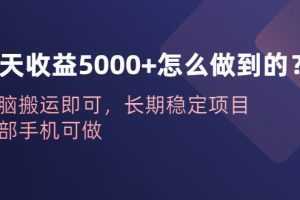 一天收益5000+怎么做到的？无脑搬运即可，长期稳定项目，一部手机可做