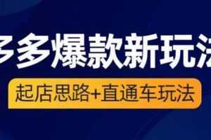 2023拼多多爆款·新玩法：起店思路+直通车玩法