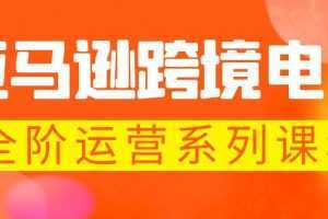 亚马逊跨境-电商全阶运营系列课程 每天10分钟，让你快速成为亚马逊运营高手