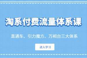 淘系付费流量体系课 直通车、引力魔方、万相台三大体系