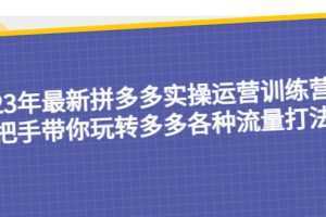 23年最新拼多多实操运营训练营：手把手带你玩转多多各种流量打法