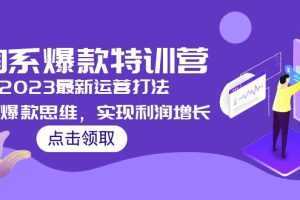 2023淘系爆款特训营，2023最新运营打法，学习爆款思维，实现利润增长