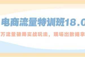 电商流量特训班18.0，直引万流量破局实操玩法，现场出数据拿结果