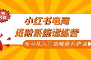 小红书电商进阶系统训练营：新手从入门到精通系统课