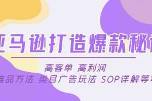 亚马逊打造爆款秘诀：高客单 高利润 推品方法 类目广告玩法 SOP详解等等