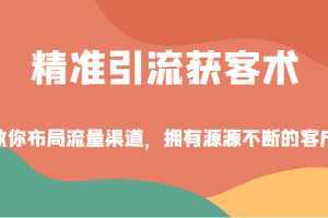 精准引流获客术，教你布局流量渠道，拥有源源不断的客户！