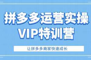 拼多多运营实操VIP特训营，让拼多多商家快速成长