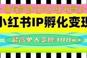 某收费培训-小红书IP孵化变现：做有影响力的小红书博主，最高单人变现300w+