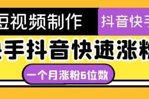 短视频油管动画-快手抖音快速涨粉：一个月粉丝突破6位数 轻松实现经济自由