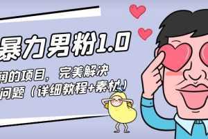 暴力男粉1.0：高利润的项目，完美解决收款风险问题