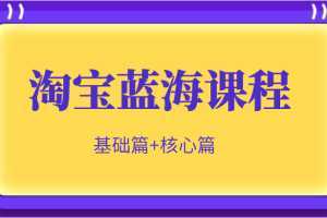 淘宝蓝海暴利产品实操项目，单店利润几千几万