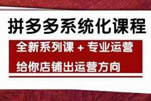 车神陪跑拼多多系统化课程，全新系列课+专业运营给你店铺出运营方向